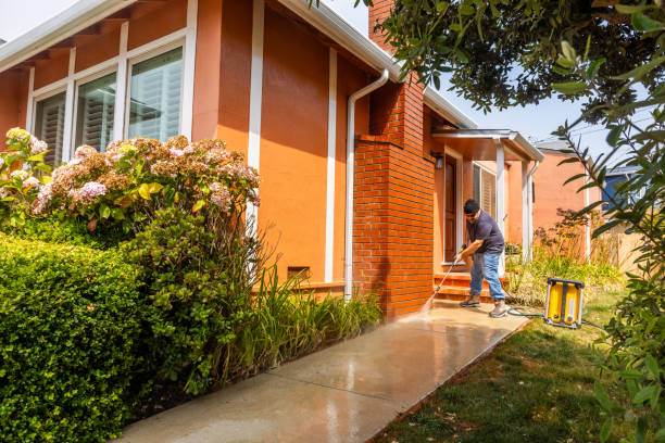 Best Best Pressure Washing Companies  in Magnolia, NJ