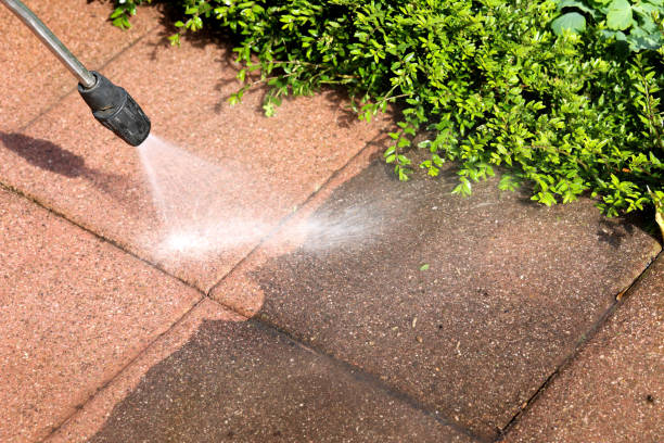 Best Pressure Washing Company Near Me  in Magnolia, NJ